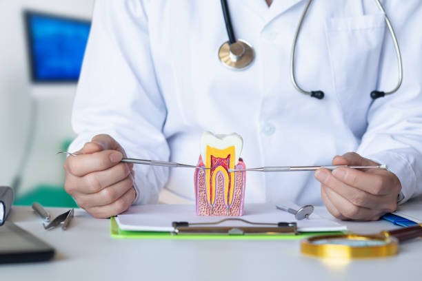 Best Emergency Dental Services for Seniors in Tatum, TX